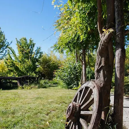 I Grilli 3* カスタニョーレ・デッレ・ランツェ